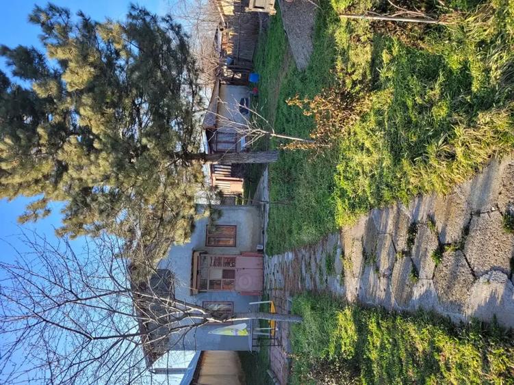 Casă cu Teren 1300 Mp în Brădeanu