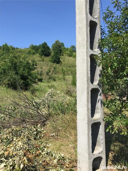 Teren de 4364 mp, în Șerpeni