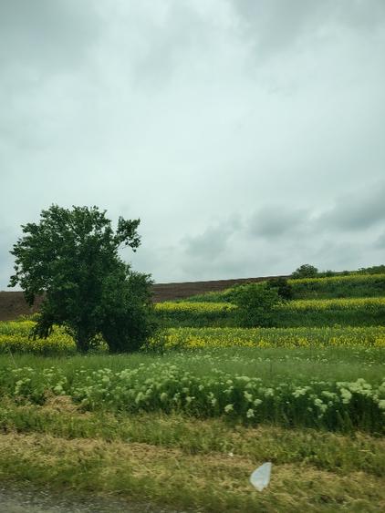 Teren Construcții intravilan de 500 mp, în Sfântu Gheorghe (Crevedia Mare)