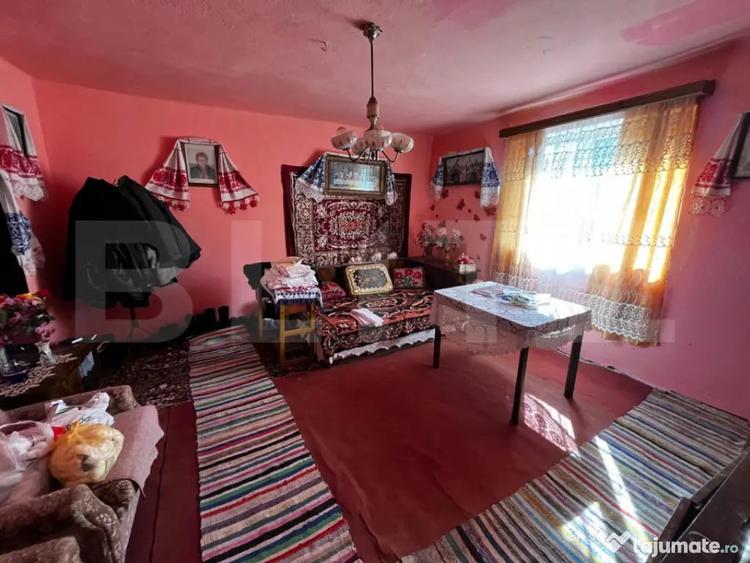 Casa individuala zona superba Nadasu, 2500mp teren - 7