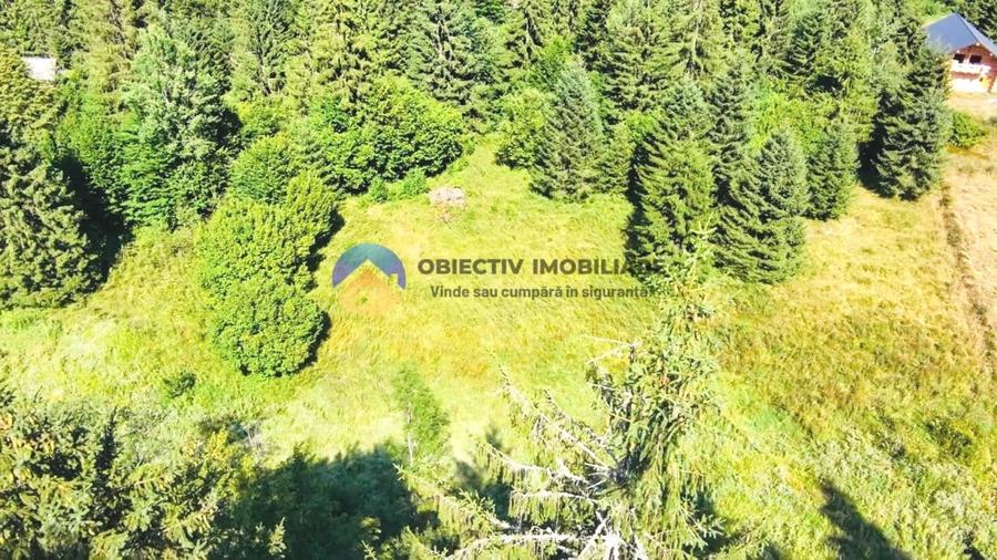 Teren intravilan de 14114 mp, în Schitu Tarcău