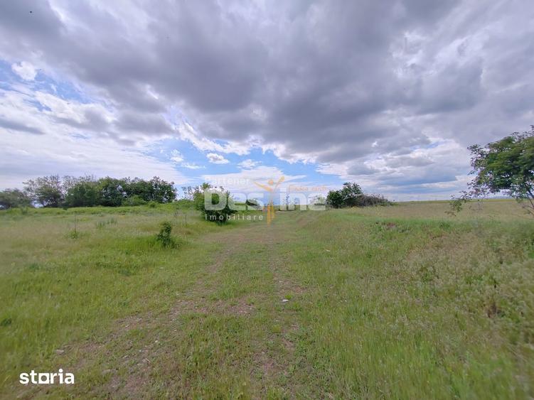 Teren de 114000 mp, în Ariceștii Rahtivani