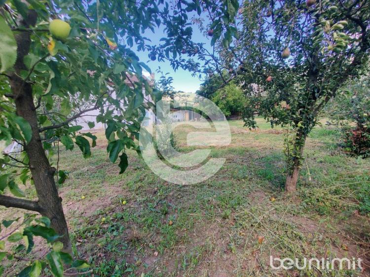 Teren intravilan Sura Mare - 578 Mp - PUZ aprobat si toate u - 1
