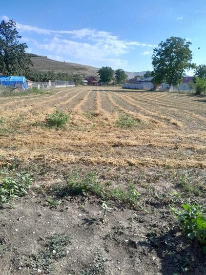 Teren de 3000 mp, în Hădăreni
