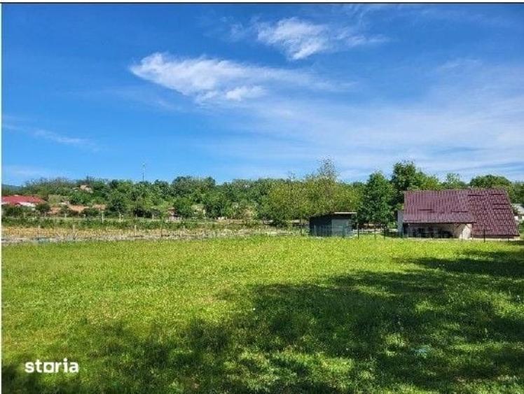 Teren de 1743 mp, în Tisău