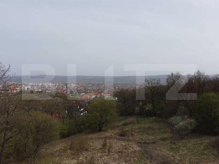 Teren intravilan de 10046 mp, în Cetate