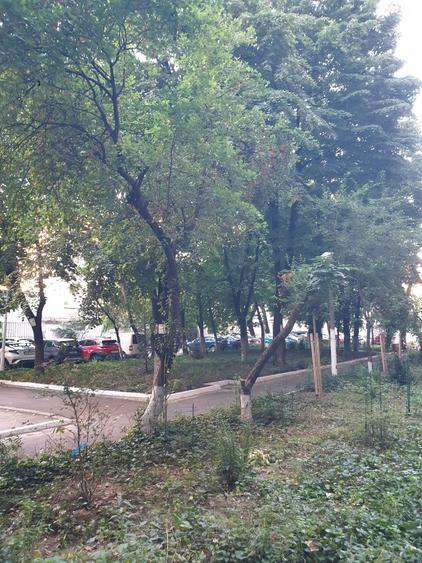 Apartament cu 2 camere semidecomandat în Vatra Luminoasă