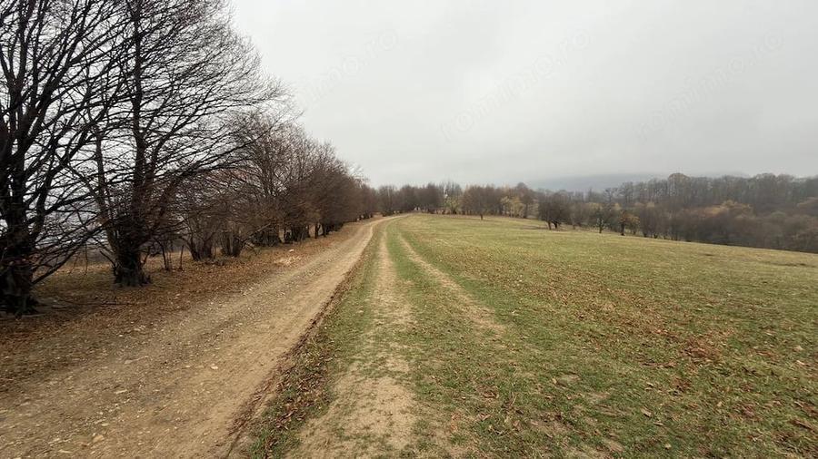 Teren deosebit 3,5HA zona Cisnadioara - 1