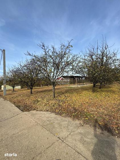 Teren de 9162 mp, în Roșiori