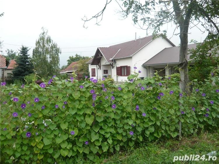 Casă cu 3 camere cu Teren 1800 Mp în Turnu