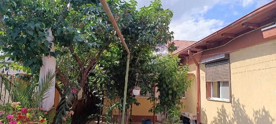 Casă cu Teren 200 Mp în Viile Noi