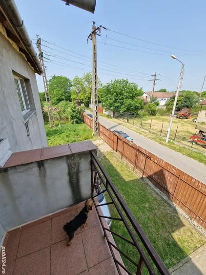 Casă cu 6 camere cu Teren 4500 Mp în Torontalului