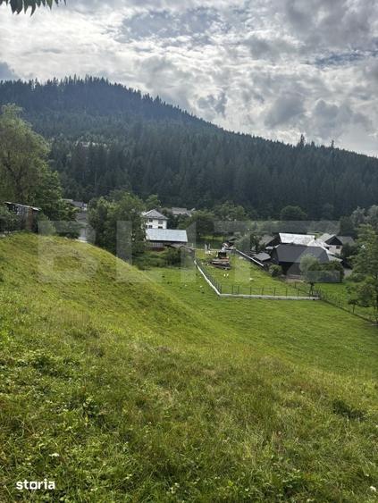Teren de 6000 mp, în Central
