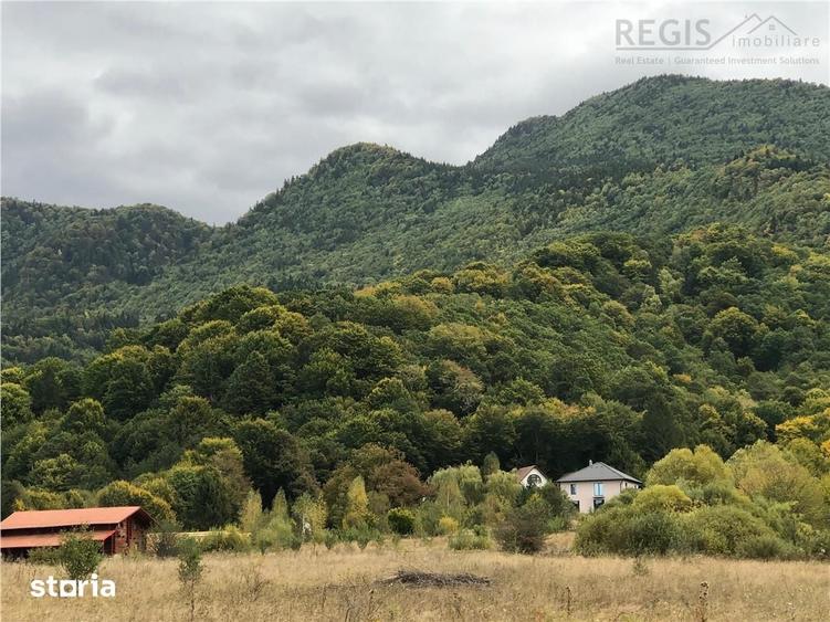 Casă cu 3 camere cu Teren 4150 Mp în Cheile Râșnoavei