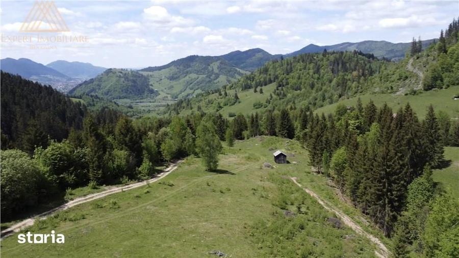 Teren de 100000 mp, în Central