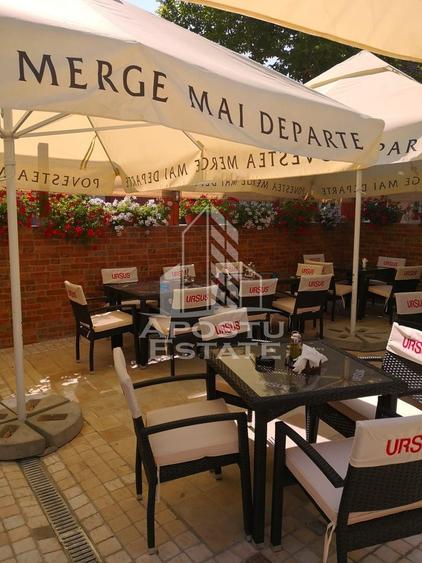 Afacere la cheie, in apropierea Castelului Corvinilor in Hunedoara - 32