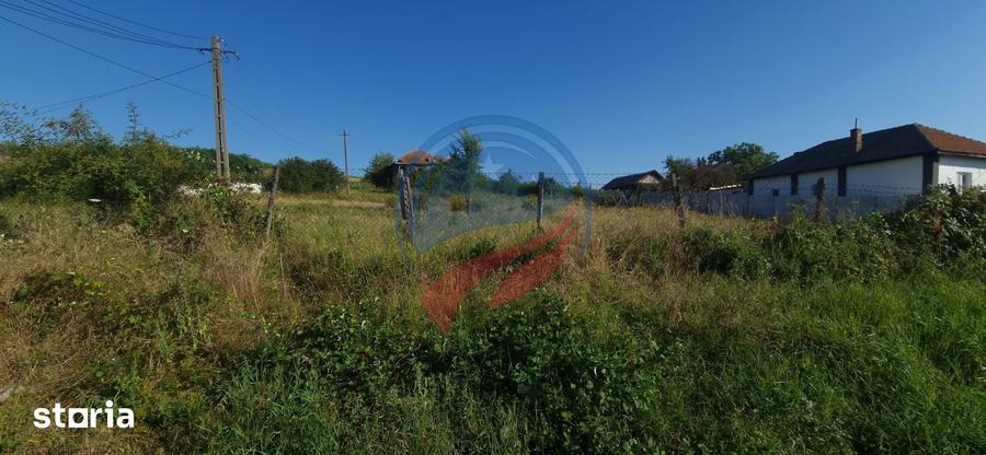 Teren 8 227 mp + Casa demolabila de vanzare in Filiasi - Fratostita - 6