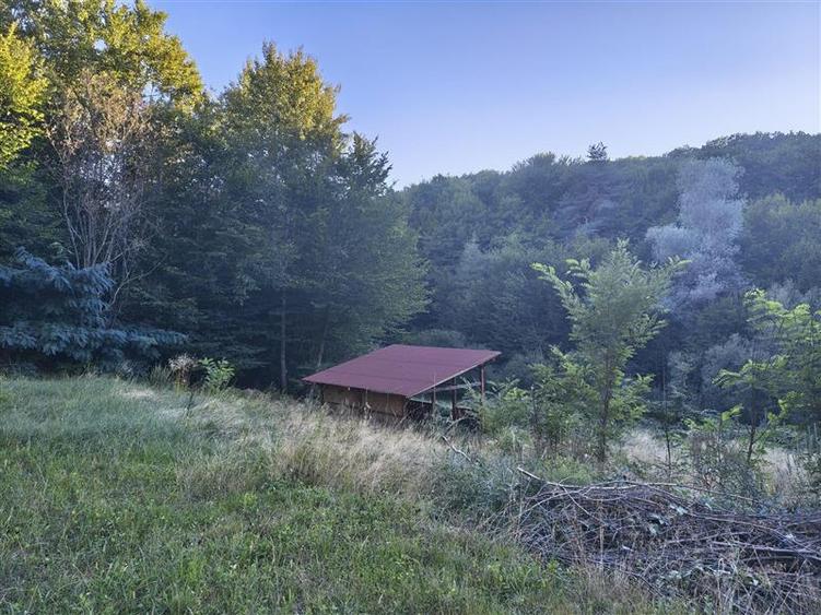 Teren agricol intravilan de 1000 mp, în Cisnădioara