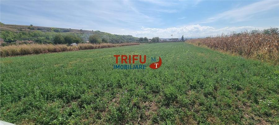 Teren agricol extravilan de 4356 mp, în Ciugud