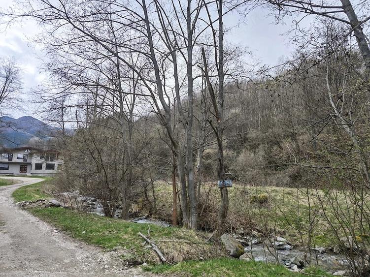 Teren de 6855 mp, în Central