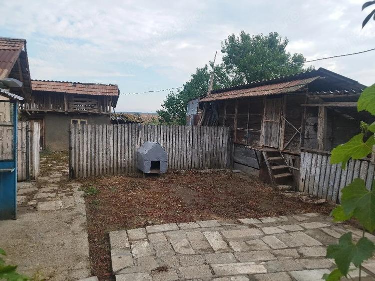 Casă cu Teren 4000 Mp în Calopăr