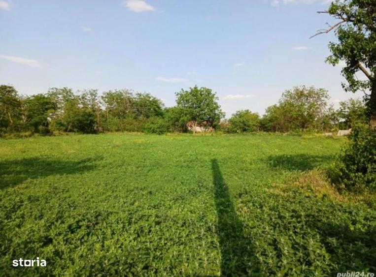 Teren de 3580 mp, în Smeeni