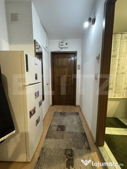 Garsonieră semidecomandată în Rovine