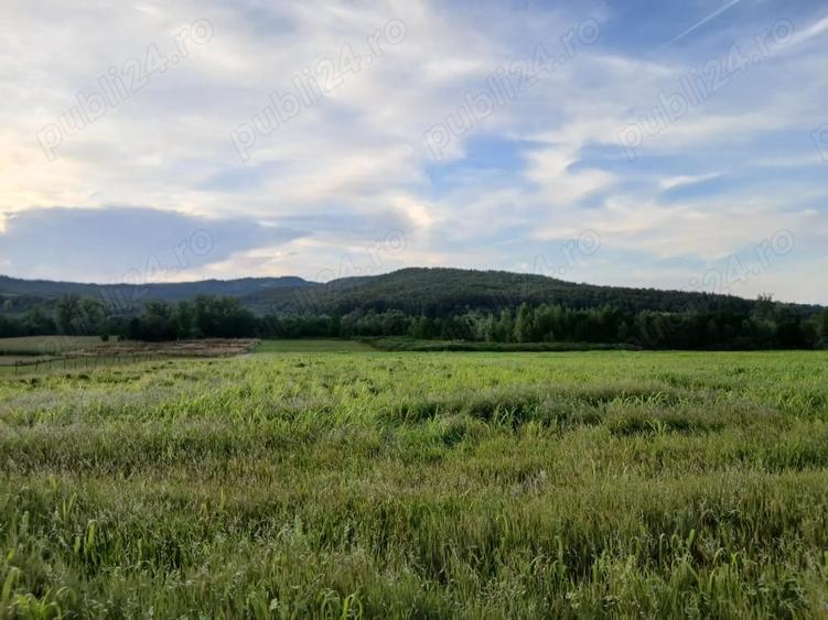 Teren de 30000 mp, în Lupoaia