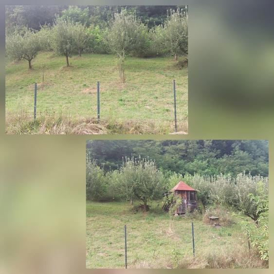 Teren de 7000 mp, în Voia