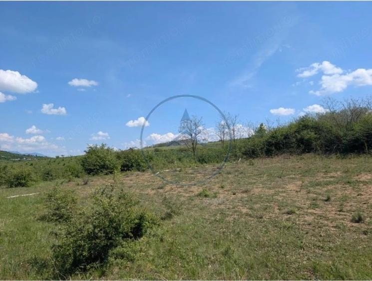 Oportunitate de investi?ie teren intravilan in zona Valea Sigmirului - 2