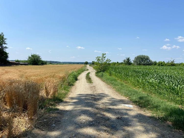 Teren de 5000 mp, în Snagov