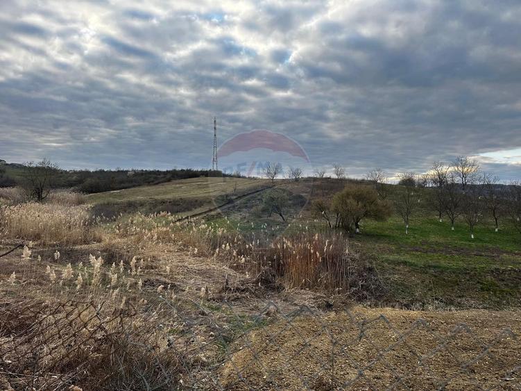 Teren cu panorama superba in Berchezoaia + bonus rulota - 5