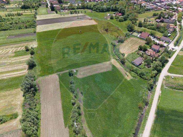 Teren agricol extravilan de 25100 mp, în Prejmer