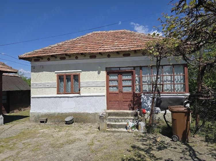 Casă cu Teren 8000 Mp în Dealu Mare (Galicea)