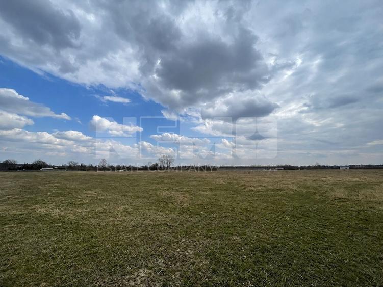 Teren Construcții extravilan de 2600 mp, în Horodnic de Sus