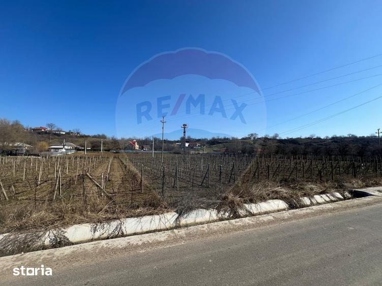 Teren de 2700 mp, în Movilița