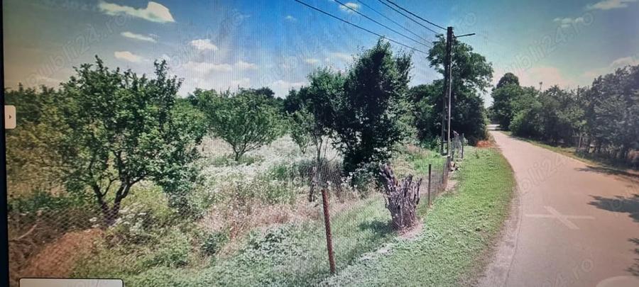 Teren de 4000 mp, în Crângurile