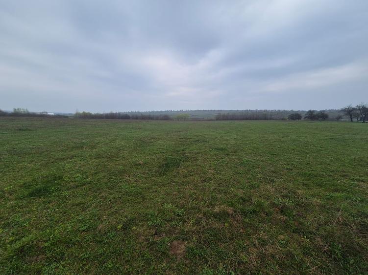 Teren extravilan de 10070 mp, în Lipoveni