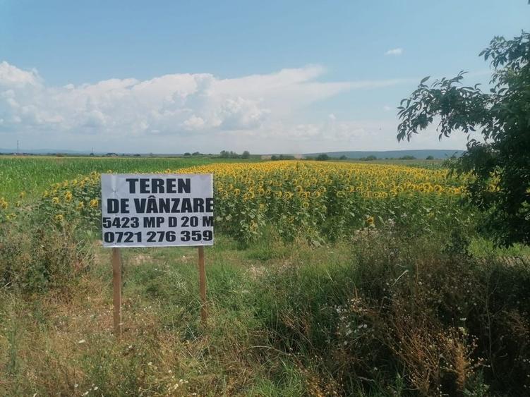 Spațiu comercial, în Comișani
