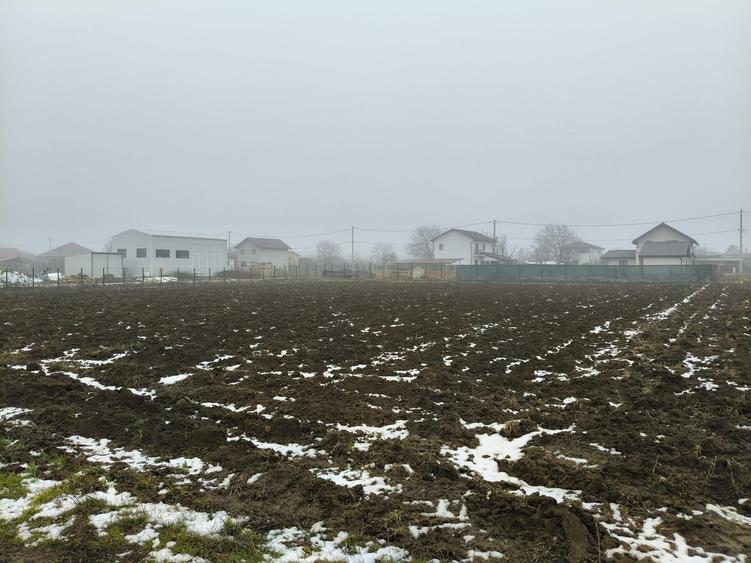 Teren Construcții intravilan de 1500 mp, în Moara Vlăsiei
