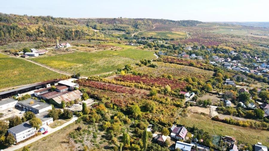Teren în Central