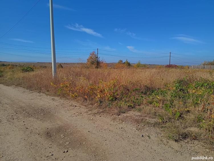Teren de 704 mp, în Vișani