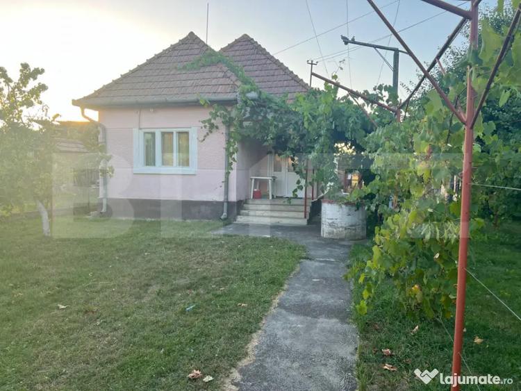 Casă cu 2 camere cu Teren 1414 Mp în Criș