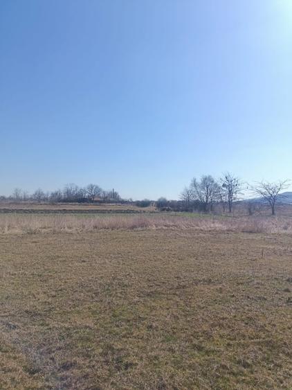 Teren agricol extravilan de 10000 mp, în Golăiești