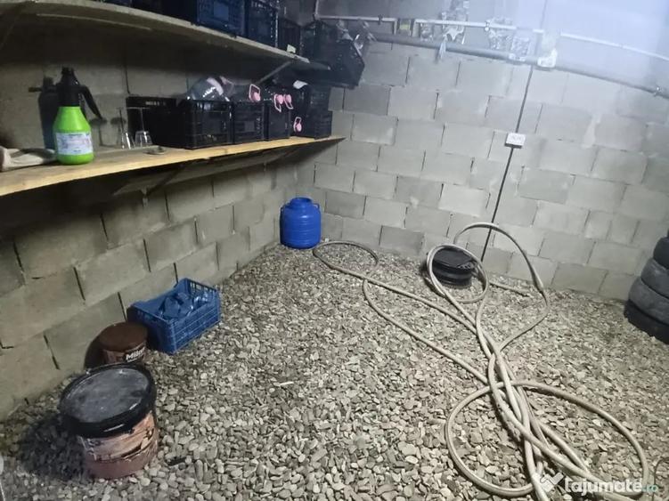 Casă cu 2 camere cu Teren 1290 Mp în Mitocu Dragomirnei