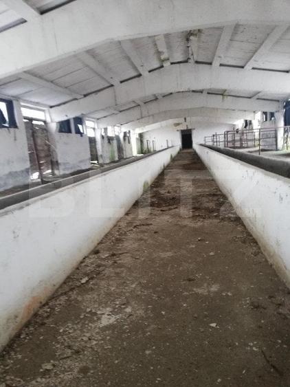 Teren Construcții extravilan de 63704 mp, în Exterior Nord