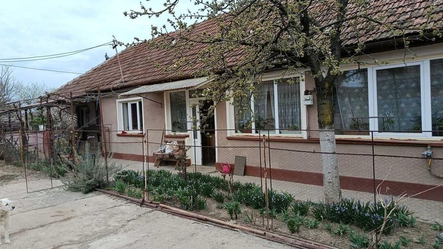 Casă cu 3 camere în Central