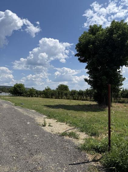 Spațiu comercial, în Zăvoi