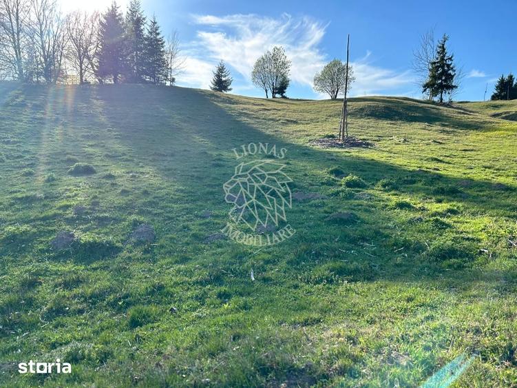 Teren de 5000 mp, în Central