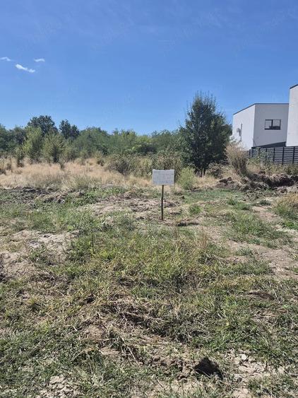 Teren de 3234 mp, în Albota